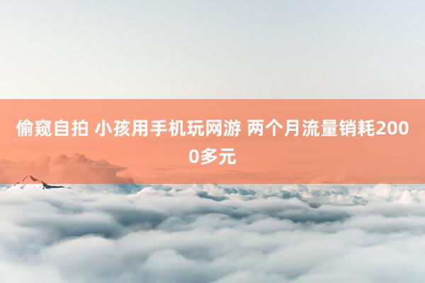 偷窥自拍 小孩用手机玩网游 两个月流量销耗2000多元