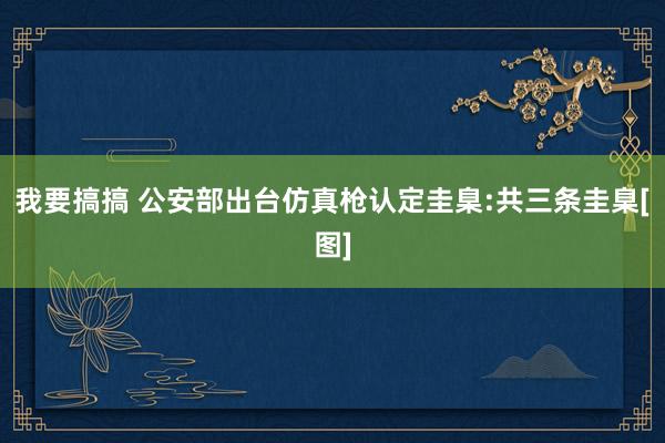 我要搞搞 公安部出台仿真枪认定圭臬:共三条圭臬[图]