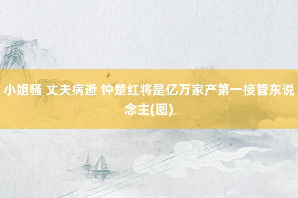 小姐骚 丈夫病逝 钟楚红将是亿万家产第一接管东说念主(图)