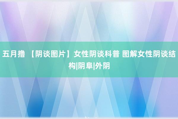 五月撸 【阴谈图片】女性阴谈科普 图解女性阴谈结构|阴阜|外阴