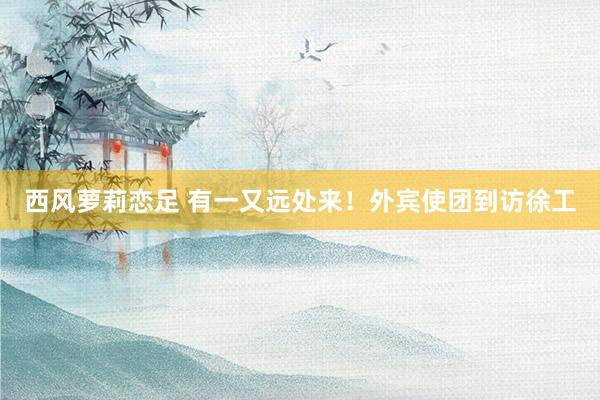 西风萝莉恋足 有一又远处来！外宾使团到访徐工