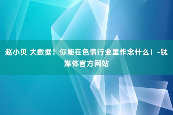 赵小贝 大数据！你能在色情行业里作念什么！-钛媒体官方网站