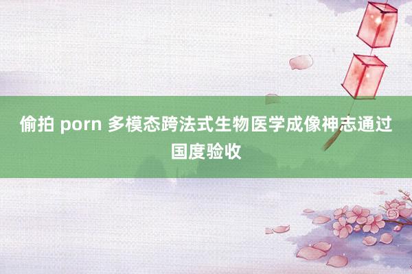偷拍 porn 多模态跨法式生物医学成像神志通过国度验收