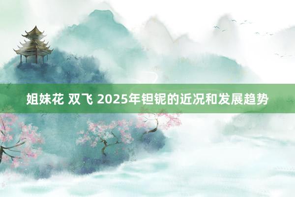 姐妹花 双飞 2025年钽铌的近况和发展趋势