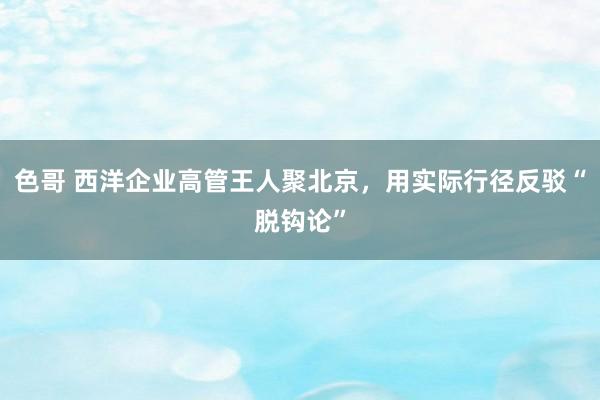 色哥 西洋企业高管王人聚北京，用实际行径反驳“脱钩论”