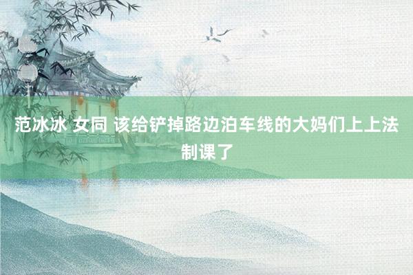 范冰冰 女同 该给铲掉路边泊车线的大妈们上上法制课了