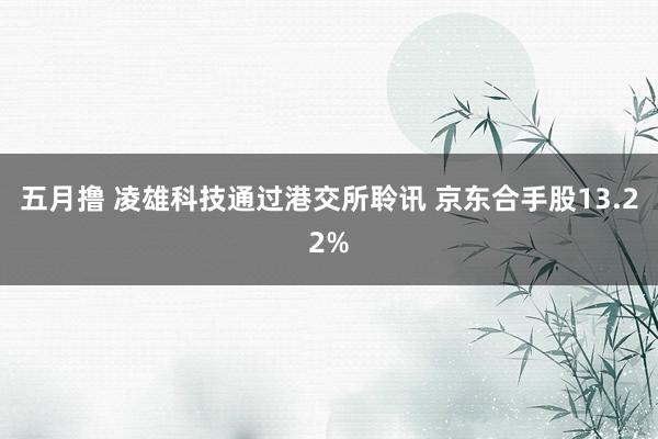 五月撸 凌雄科技通过港交所聆讯 京东合手股13.22%