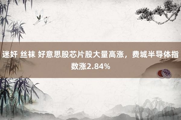迷奸 丝袜 好意思股芯片股大量高涨，费城半导体指数涨2.84%